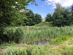 Naturschutzgebiet Rotthäuser Bachtal with ponds south of Holt