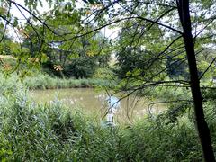 Scenic view of Naturschutzgebiet Rotthäuser Bachtal with ponds and wild vegetation