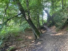 Wanderweg am östlichen Steilhang im Naturschutzgebiet Rotthäuser Bachtal