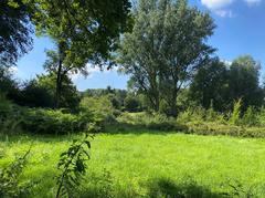 landscape mosaic in the floodplain south of Rotthaus in the Rotthäuser Bachtal nature reserve