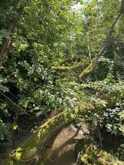 Koppelsbach stream in Rotthäuser Bachtal nature reserve after heavy rain