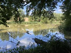 NSG Rotthäuser Bachtal ponds