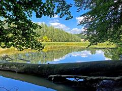 Naturschutzgebiet Rotthäuser Bachtal ponds