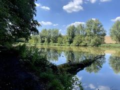 Naturschutzgebiet Rotthäuser Bachtal ponds