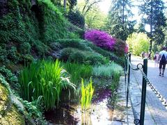 garden of Villa Taranto in Verbania