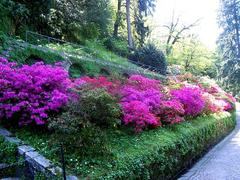 Colorful gardens of Villa Taranto in Verbania