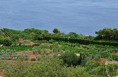 natural area in the Balearic Islands, Spain