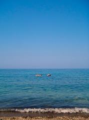 Cala Banyalbufar coastline