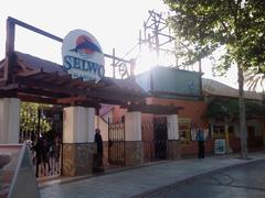 Selwo Marina main entrance with palm trees and flags, Benalmádena, Málaga, Spain