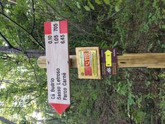 trail marking signpost at CAI 705 junction in Ca Budrio