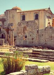 Ruins of the Temple of Apollo and papyrus bush with medieval church in the background