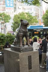 Hachikō statue at Shibuya Station