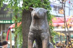 statue of the famous dog Hachiko