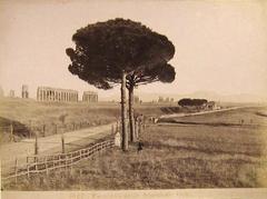 View of the Aqueducts in Rome by Romualdo Moscioni