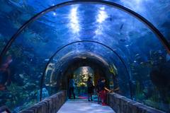 Audubon Aquarium of the Americas tunnel with visitors in New Orleans