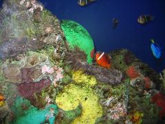 smaller exhibit at Aquarium of the Americas in New Orleans