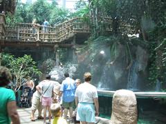 Rainforest Exhibit at the Aquarium of the Americas