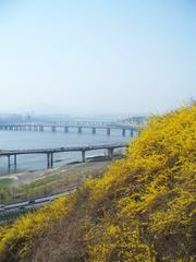 Han River flowing through a city with clear blue skies