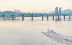 Dongho Bridge spanning the Han River in Seoul at twilight