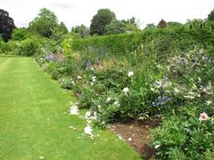 Herbaceous border at Eltham Palace