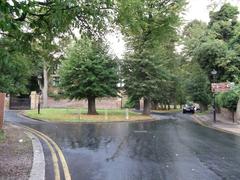 Road to Eltham Palace with trees lining both sides