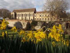 Eltham Palace daffodils