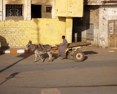 Donkey cart in Esna, Egypt