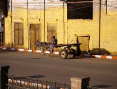 Donkey cart in Esna, Egypt