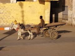 Donkey cart in Esna, Egypt