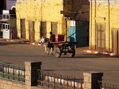 Donkey cart in Esna, Egypt