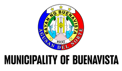 Flag of Buenavista, Agusan del Norte