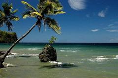 Plaza Beach Resort, Carmen