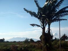 Bataan mountains in the distance