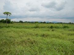 Scenic Barangay Sabang in Naic, Cavite