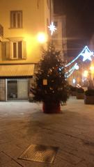 Christmas tree decorated with lights and ornaments outdoors at night