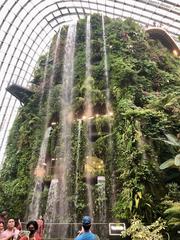 Cloud Mountain in Cloud Forest greenhouse