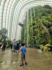 Cloud Forest at Gardens by the Bay