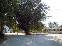 A colony near Diu museum