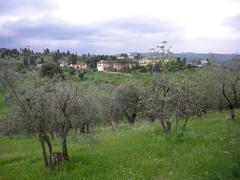 Arcetri Observatory panoramic view