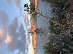 panoramic view of Valletta from Manoel Island