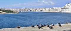 View of Sliema and Gżira from Valletta