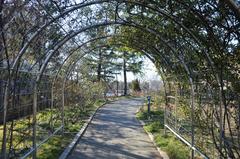 Mississauga Park rose garden in Kariya City, Aichi Prefecture