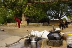 nomadic kitchen near Bahadurgarh, Patiala