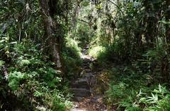 Pathway from Templo de la Luna to Machu Picchu