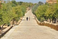 Agrigento cityscape with historical buildings and greenery