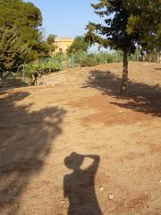 shadow of person standing on rocky ground