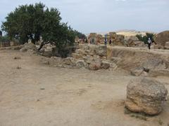 Rocks and olive trees