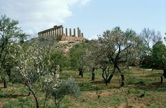 Agrigento temple ruins surrounded by natural landscape, 1988