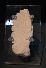 Fragment of a palmette, Cabeço Lucero necropolis artifact