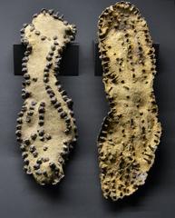 Caligae soles with reinforcement nails from Albir necropolis